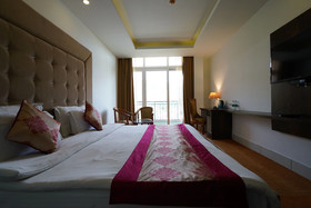 Hotel Clarks Inn Neemrana