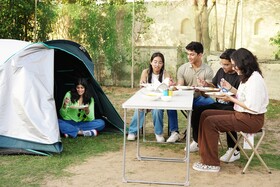 Treehouse Sunrise Resort & Caravan Park