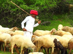 Thour Nature Resorts