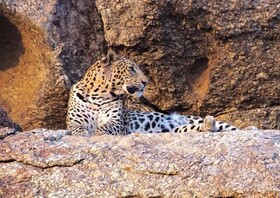 Thour Nature Resorts