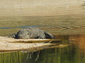 Thour Nature Resorts