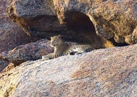 Thour Nature Resorts