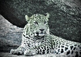 Thour Nature Resorts