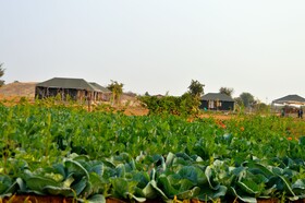 Thour Nature Resorts