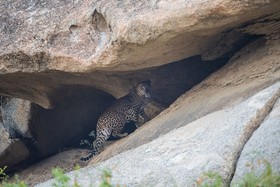 WelcomHeritage Cheetahgarh Resort & Spa