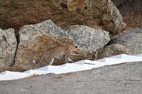 WelcomHeritage Cheetahgarh Resort & Spa
