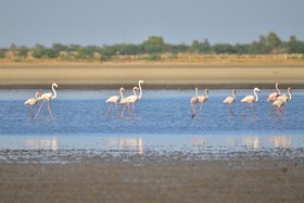 WelcomHeritage Cheetahgarh Resort & Spa