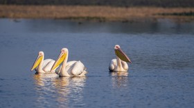 WelcomHeritage Cheetahgarh Resort & Spa