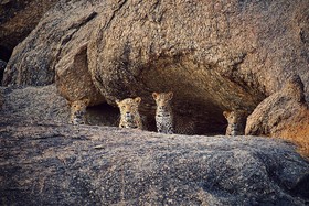 WelcomHeritage Cheetahgarh Resort & Spa