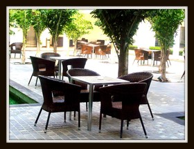 Treehouse Elevate Bhiwadi