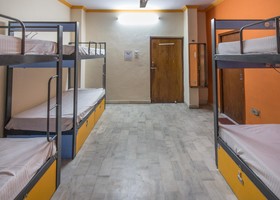 Backpacker Panda Stephels Jaipur