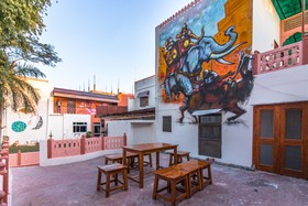 Backpacker Panda Stephels Jaipur