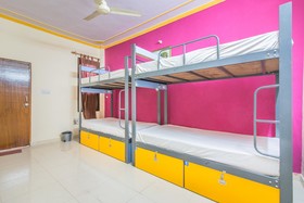 Backpacker Panda Stephels Jaipur