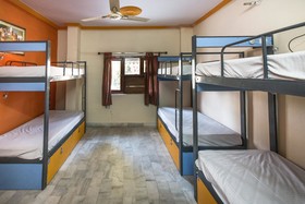 Backpacker Panda Stephels Jaipur