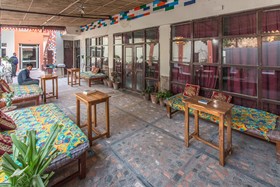 Backpacker Panda Stephels Jaipur