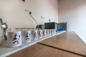 Backpacker Panda Stephels Jaipur