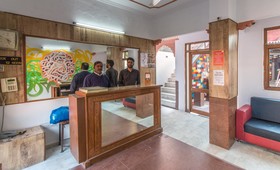 Backpacker Panda Stephels Jaipur