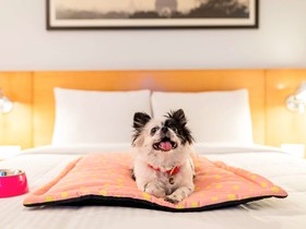 ibis Jaipur City Centre