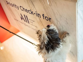 ibis Jaipur City Centre