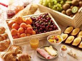 ibis Jaipur City Centre