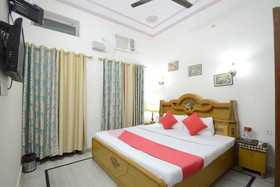 OYO 19035 Hotel Satkar