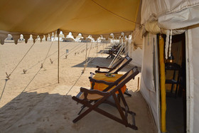 Camp Oasis