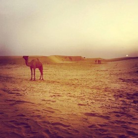 Hotel Garh Jaisal Haveli