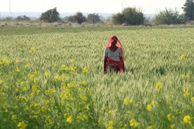 Hotel Garh Jaisal Haveli