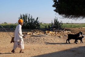 Hotel Garh Jaisal Haveli