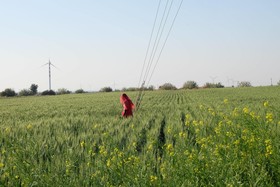 Hotel Garh Jaisal Haveli