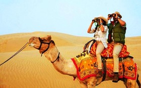 Jaisalmer Hostel Crowd