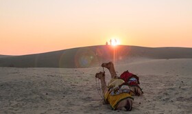 Lal Garh Desert Camp