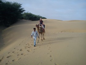 Prince Desert Camp