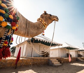 Shriram Desert Camp