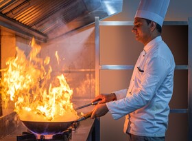 Tree of Life Inderpura Resort Udaipurwati