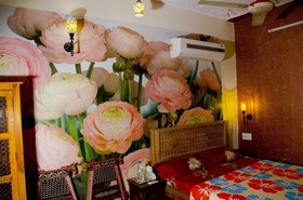 Hem Guest House