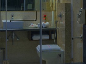 Hotel Shri Ram Empire