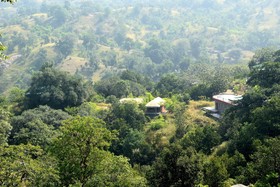 The Jungle Camp Resort by Sky Stays