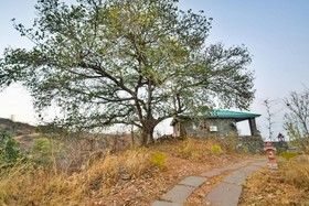 The Jungle Camp Resort by Sky Stays