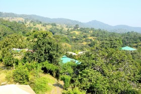 The Jungle Camp Resort by Sky Stays