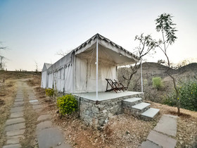 Palette-Jungle Camp by Thar Oasis