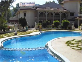 Hotel Savera Palace