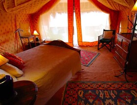 Reggie Camel Camps Osian