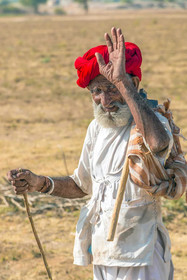 Aravali Nature Camp
