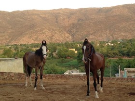 Gulaab Niwaas Palace