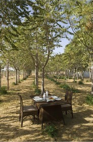 The Greenhouse Pushkar