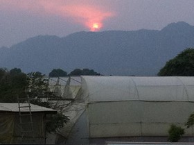 The Greenhouse Pushkar