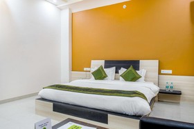 Treebo Pushkar Legacy
