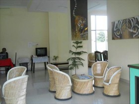 Green View Ranthambhore