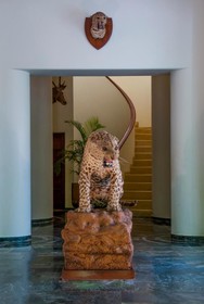 Sawai Madhopur Lodge - IHCL SeleQtions